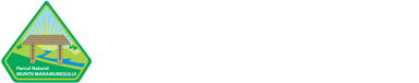 Muntii Maramuresului